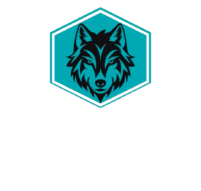 Asis Seguridad
